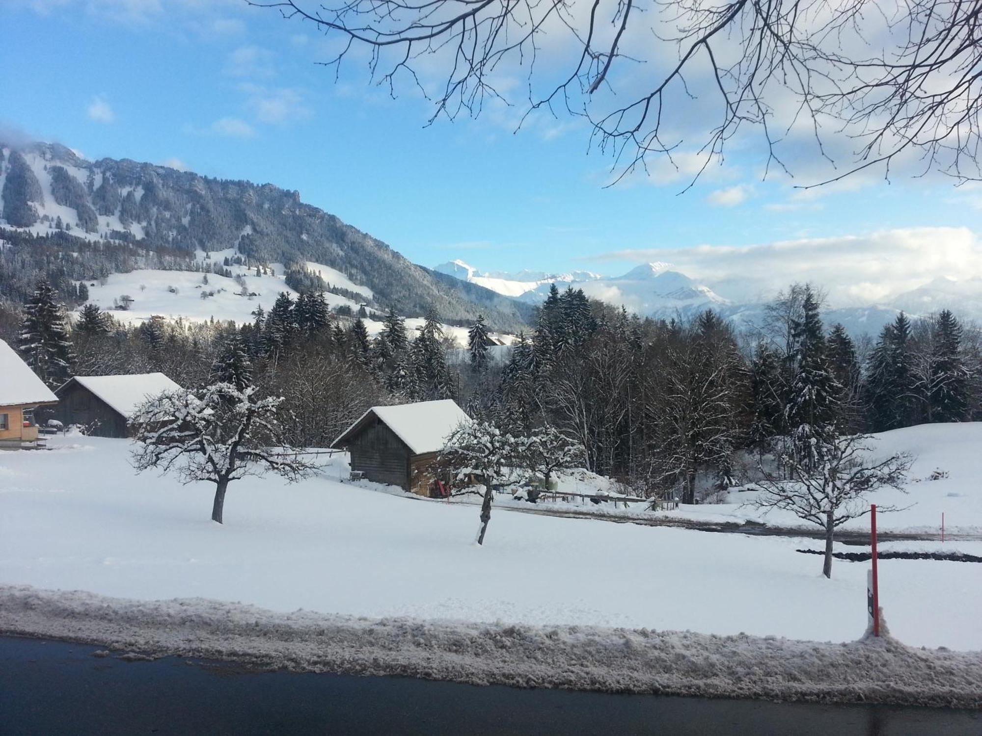 Hotel Rothorn Vintage-Style Sigriswil Exterior photo
